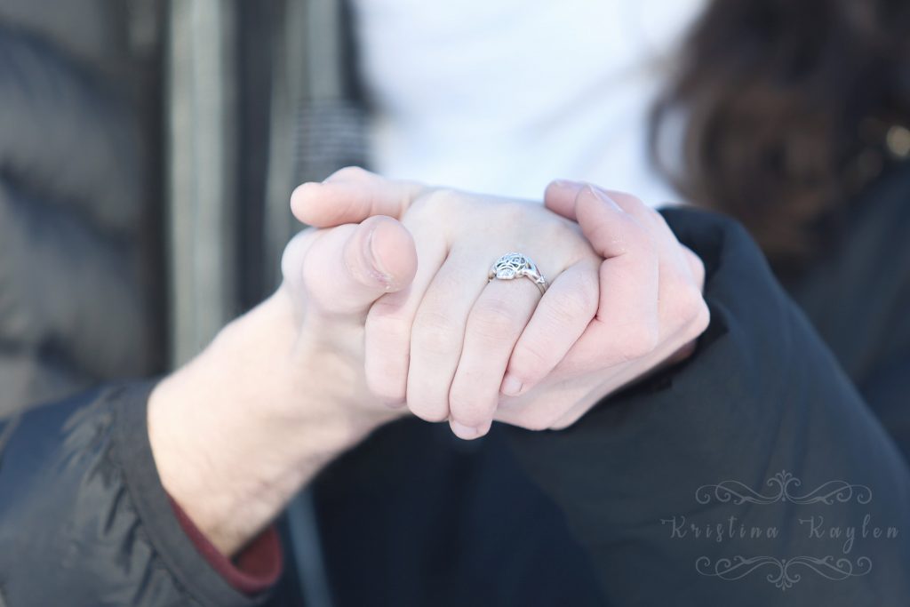 Michigan Engagement Photos